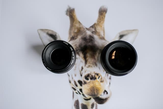 Image of a giraffe with binoculars