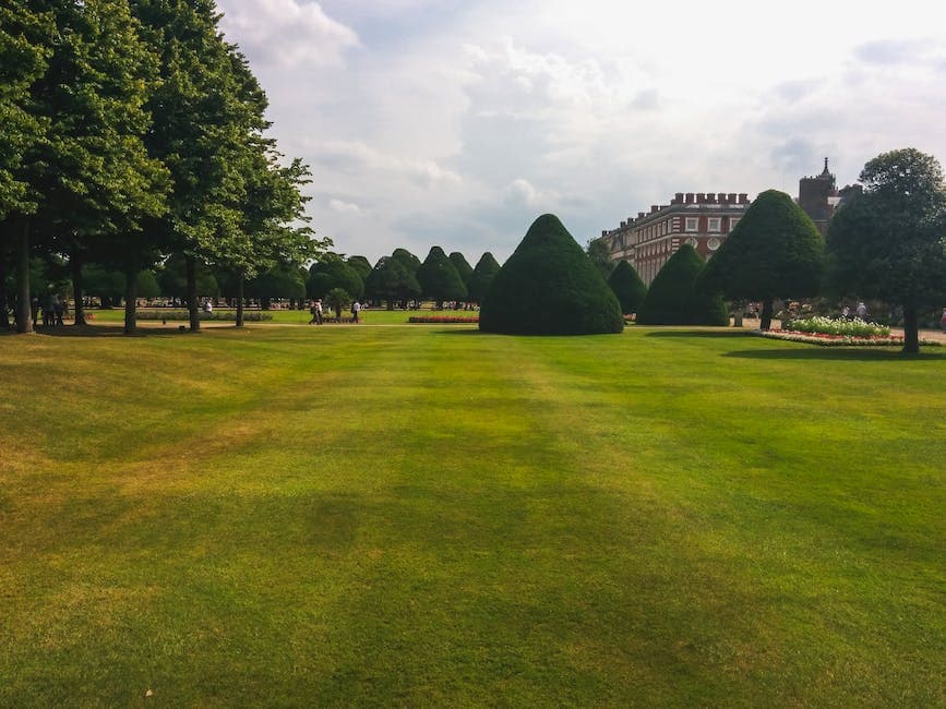 a very big garden