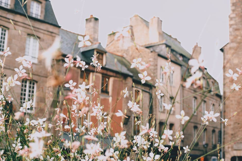 Through pink flowers authentic attached stone and brick buildings in old town on cloudy day
