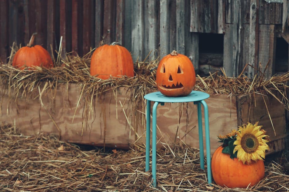 Halloween Pumpkin 