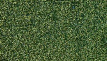 Top View of Synthetic Green Grass