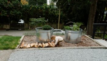 Child working with firewood near flowerbed in small backyard