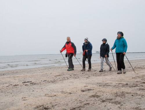 a group of 4 people nordic walking on the beach