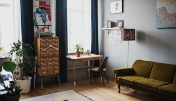 Comfortable couch put on wooden floor covered with rug and potted plants in apartment with big windows and dark curtains in sunlight