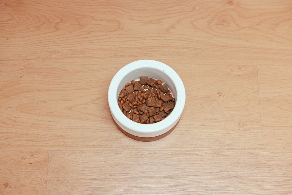 Dog Food in a Pet Bowl on a Wooden Surface