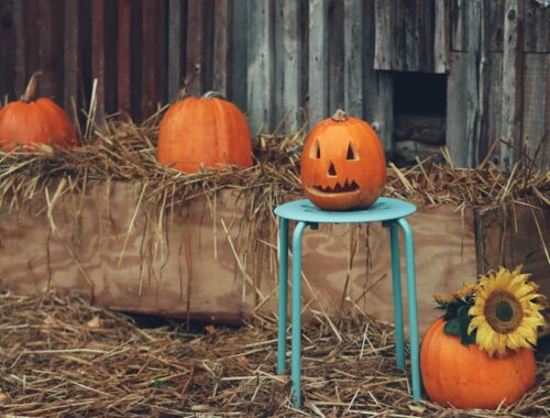 Halloween Pumpkin