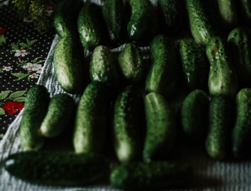 Close-Up Photo of Cucumbers