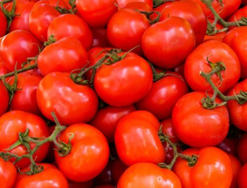 Pile of Red Tomatoes