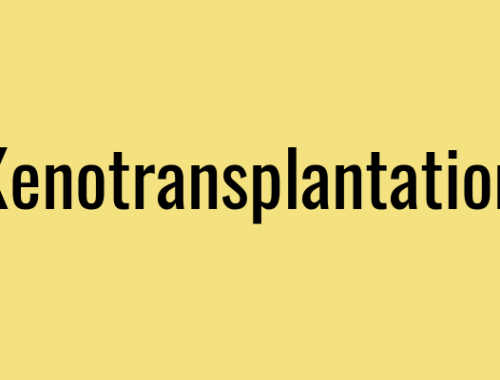 Xenotransplantation