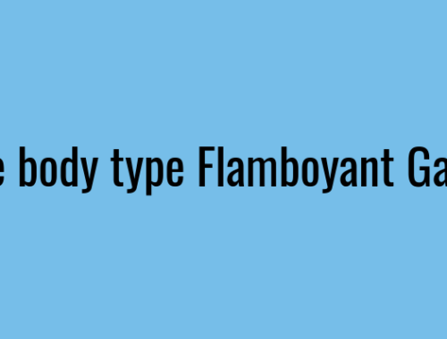 Kibbe body type Flamboyant Gamine