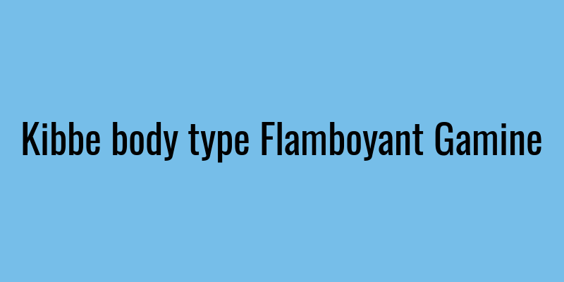 Kibbe body type Flamboyant Gamine