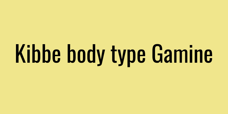 Kibbe body type Gamine